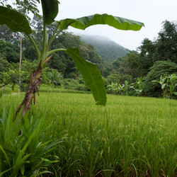 Similar image 7978294