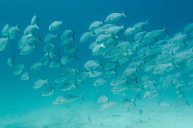 Similar image 7978296