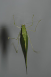 Similar image 7978298