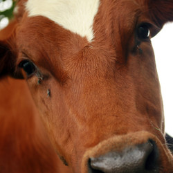 Similar image 7978299