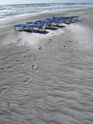 Similar image 7978314