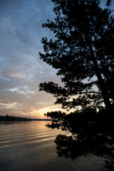 Similar image 7978316