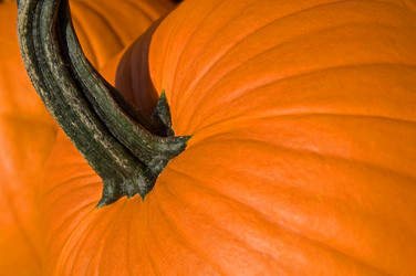 Similar image 7978325