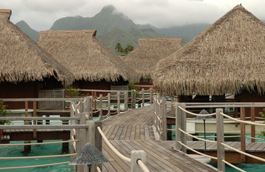 Similar image 7978331