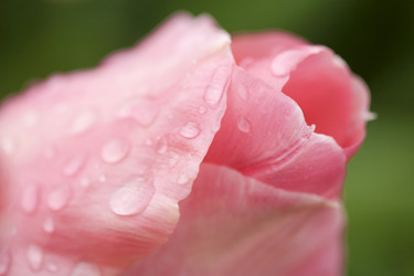 Similar image 7978333