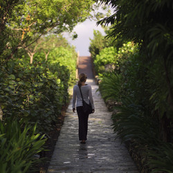 Similar image 7978337