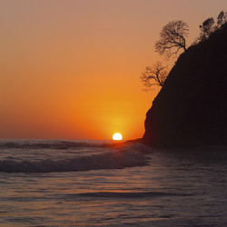 Similar image 7978346