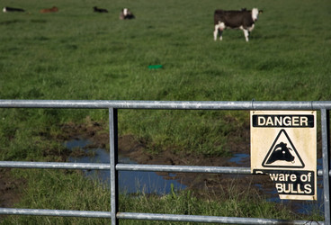 Similar image 7978349