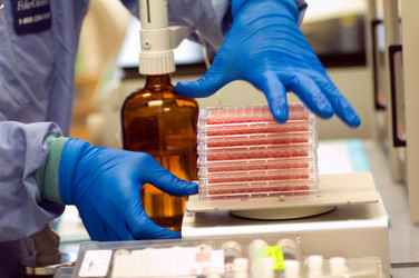 Similar image 7978353