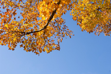 Similar image 7978354