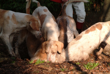 Similar image 7978362