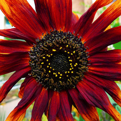 Similar image 7978363