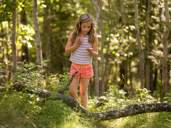 Similar image 7978368