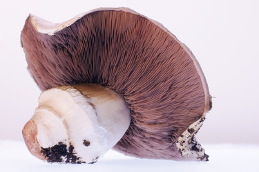 Similar image 7978381