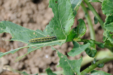 Similar image 7978383