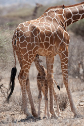 Similar image 7978384