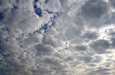 Similar image 7978385