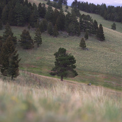 Similar image 7978387