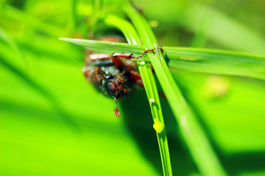 Similar image 7978398