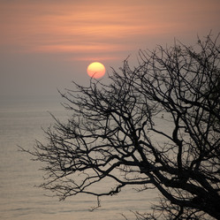 Similar image 7978399