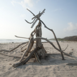 Similar image 7978405