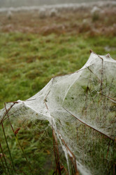 Similar image 7978407