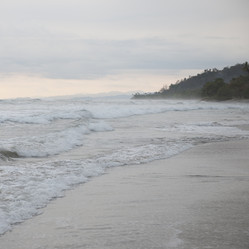 Similar image 7978413