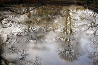 Similar image 7978414