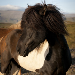 Similar image 7978429