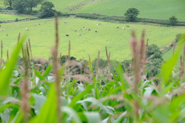 Similar image 7978442