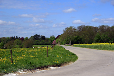 Similar image 7978448