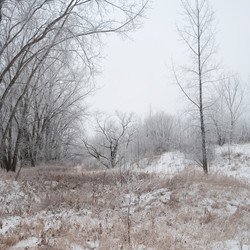 Similar image 7978453