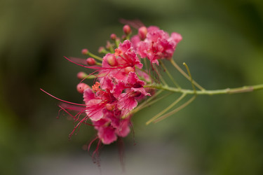 Similar image 7978457