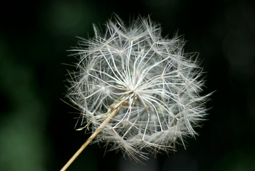 Similar image 7978458