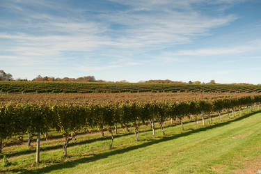 Similar image 7978459