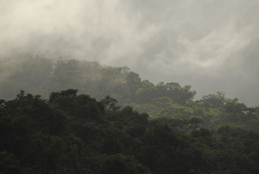 Similar image 7978465