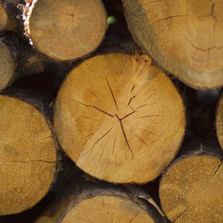 Similar image 7978468