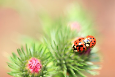 Similar image 7978476