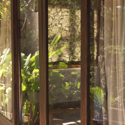 Similar image 7978478