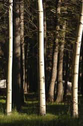 Similar image 7978489