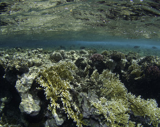 Similar image 7978493