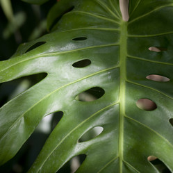 Similar image 7978497