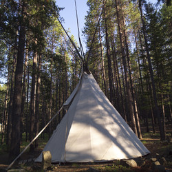 Similar image 7978498