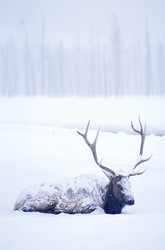 Similar image 7978508