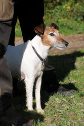 Similar image 7978511