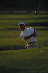 Similar image 7978522