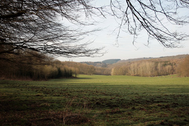 Similar image 7978528