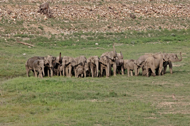 Similar image 7978530