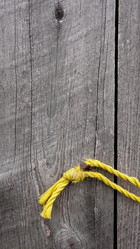 Similar image 7978538