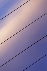 Similar image 7978539